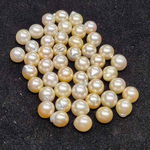 South Sea Pearl/Moti/Mukta - Standard Quality